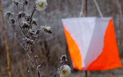 Ривок, адреналін, азарт!