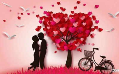 Любові зоряний політ