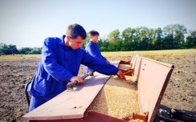 Праця хлібороба – це почесна праця