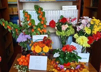 Конкурс-виставка «Дари природи»