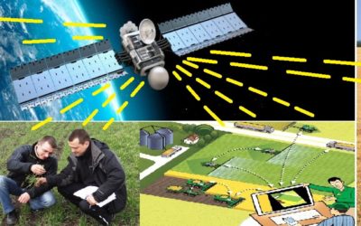 Навчальні курси сервісної служби ТОВ «Кролевецький комбікормовий завод»