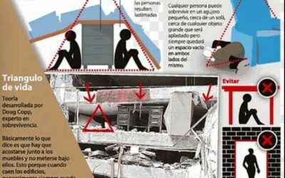 «Трикутник життя» — теорія, яка допоможе вижити