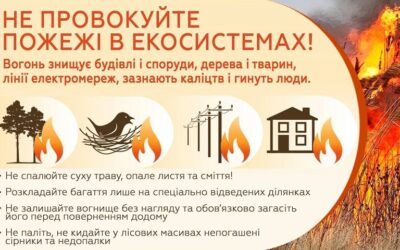 Не допустіть пожеж в екосистемах
