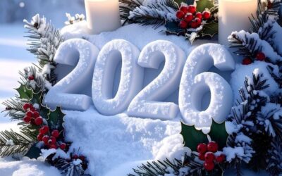 З Новим 2026 роком, дорогі колеги!
